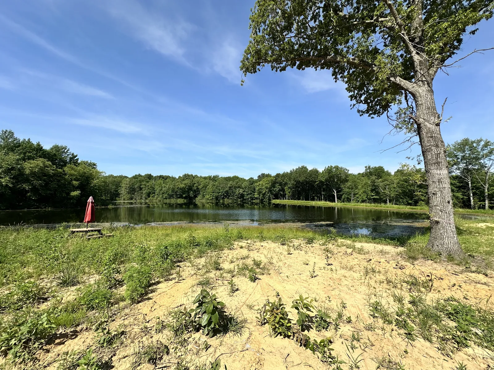 The four-acre lake on the grounds