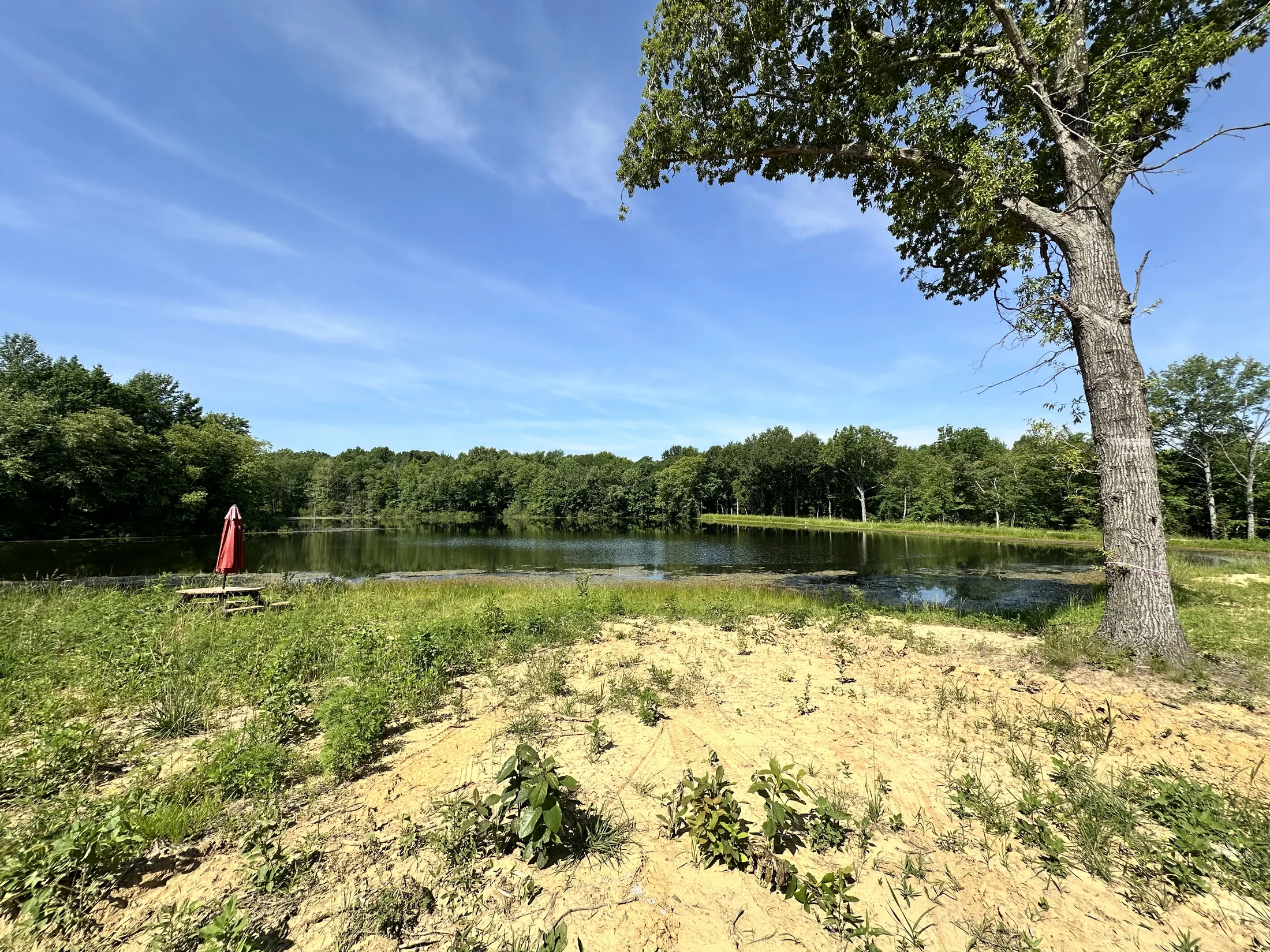 The four-acre lake on the sanctuary grounds, framed by trees