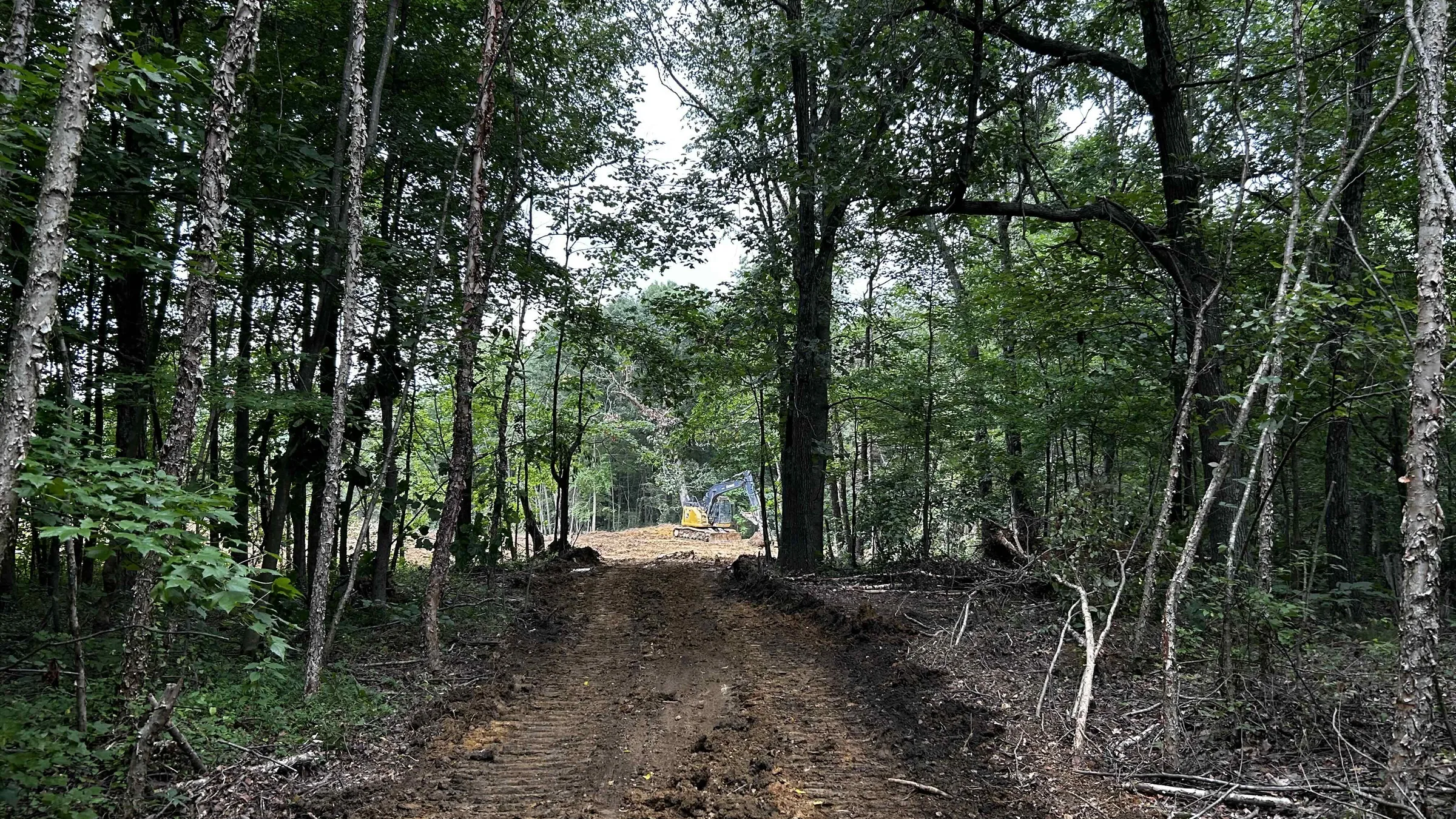 The wooded property with a dirt access road, 2024