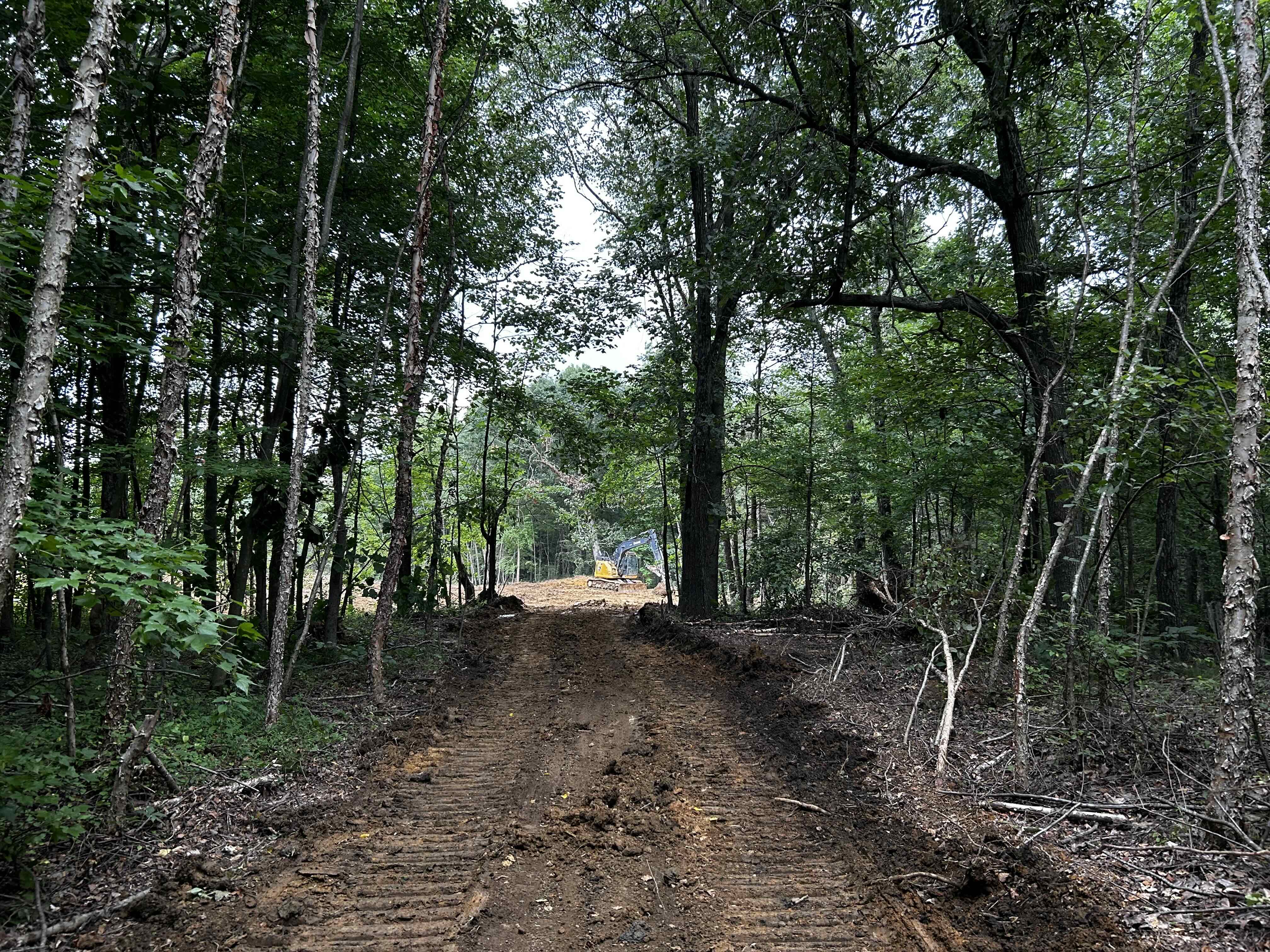 An excavator clearing and grading a road through the wooded property